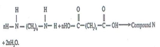 figorganic21920201311.JPG